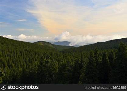 Beautiful landscape with forest and sky on mountains. Pure nature around Jeseniky - Czech Republic - Europe.