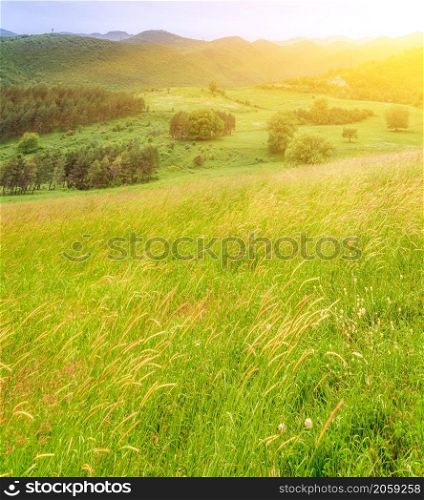 Beautiful landscape with green meadow in mountains in sunset. Nature beautiful background