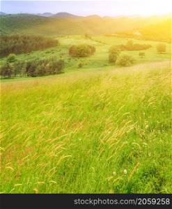 Beautiful landscape with green meadow in mountains in sunset. Nature beautiful background