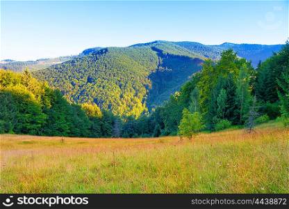 Beautiful landscape with green mountain covered with forest