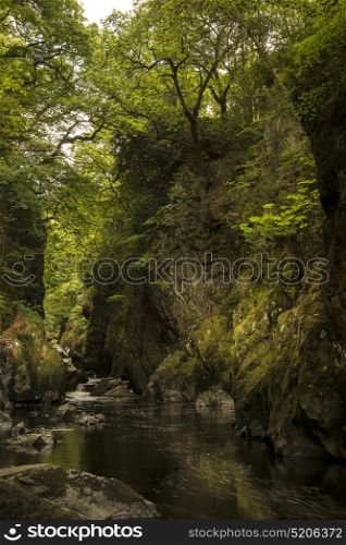 Beautiful landscape with river flowing through deep sided gorge with vibrant green foliage