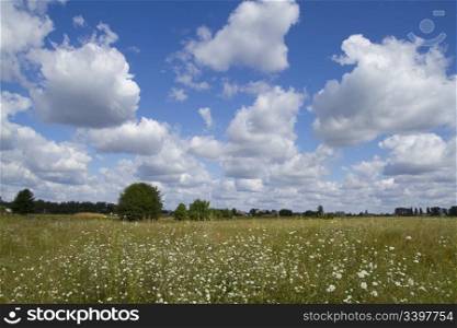 beautiful landscape with sky and fields