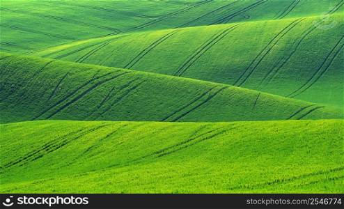 Beautiful landscape with spring nature. Waves on the field. South Moravia - Moravian Tuscany - Czech Republic Europe..