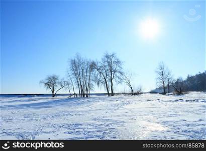 Beautiful landscape with sun and trees in winter