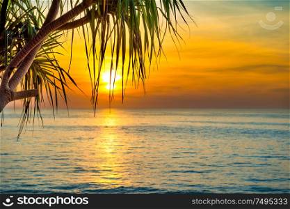 Beautiful landscape with sunset at tropical beach with palm trees