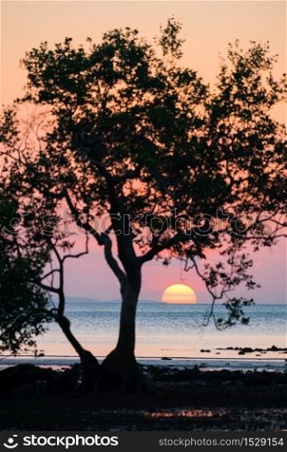 Beautiful landscape with trees silhouette at sunset on sea