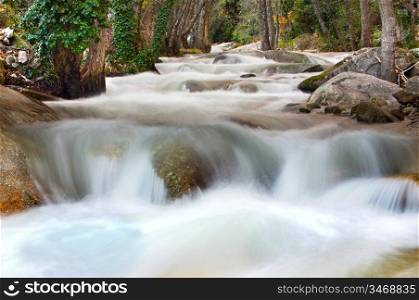 Beautiful landscape with water torrent in middle of the forest