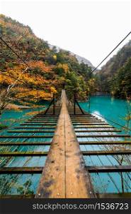 beautiful landscape wooden bridge suspension over the river green in natural forest autumn season in japan wide angle shot