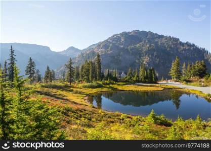 Beautiful landscapes in Mt Baker Recreation Area, Washington state, USA