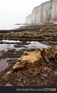 beautiful landscapes on the cliff of  Etretat on a cloudy day. France. low tide 