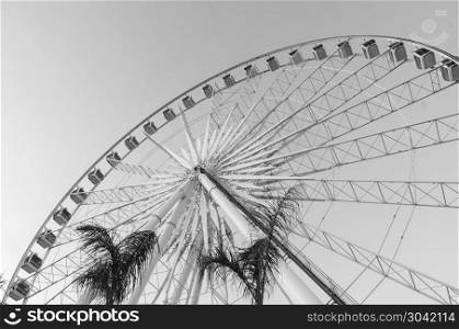 Beautiful large Ferris wheel in black and white