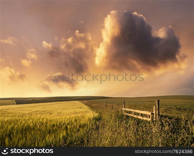 Beautiful late Summer afternoon light over rolling hills in English countryside landscape with vibrant warm light and heart shaped cloud