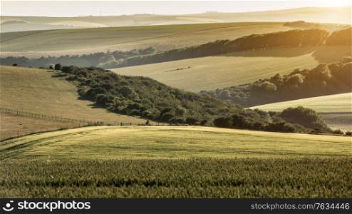 Beautiful late Summer afternoon light over rolling hills in English countryside landscape with vibrant warm light