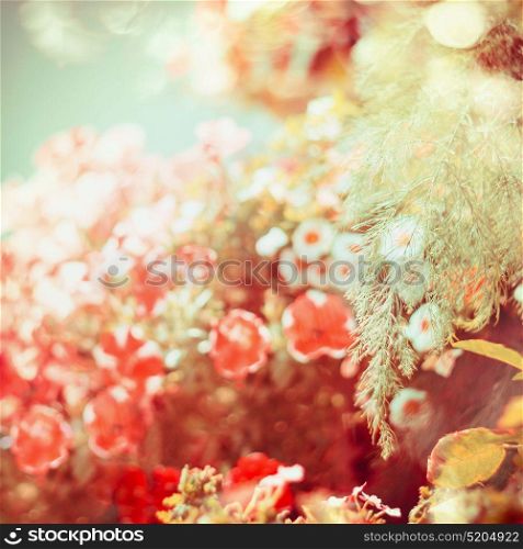 Beautiful late summer or autumn nature background with garden flowers