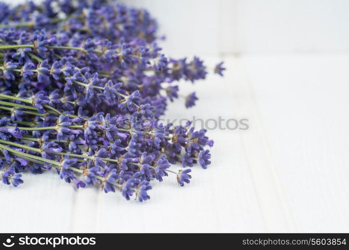 Beautiful lavender bunch in rustic home styled setting with copy space