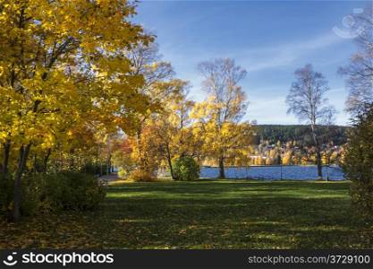 Beautiful leandscape of colorful autumn trees by the lake