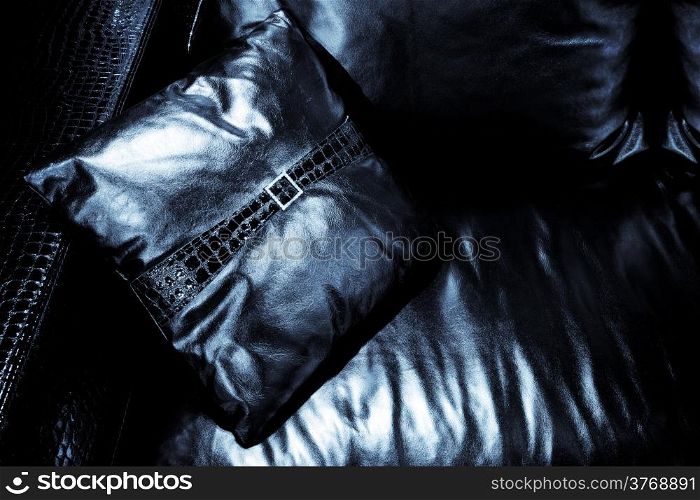 beautiful leather cushion on the black couch