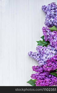 Beautiful lilac on a wooden background, white. Beautiful lilac on a wooden background