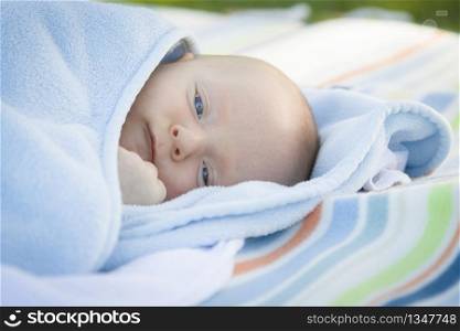 Beautiful Little Baby Boy Resting in His Warm Blanket.