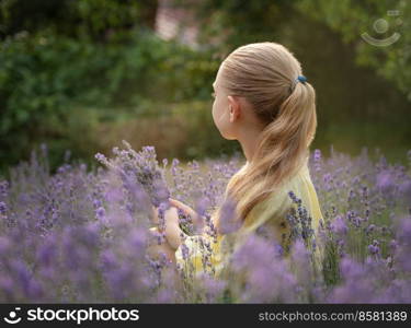 Beautiful little girl on lavender field. Sunset. 