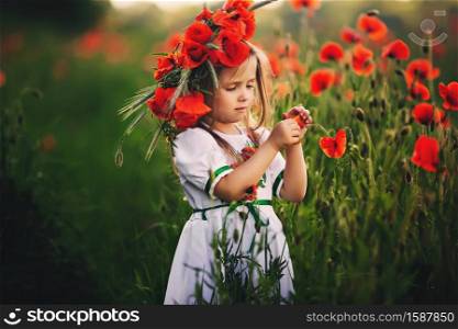 beautiful little girl with a wreath of poppies in a white dress and collects a bouquet of wildflowers. cute child in poppies field.. beautiful little girl with a wreath of poppies in a white dress and collects a bouquet of wildflowers. cute child in poppies field