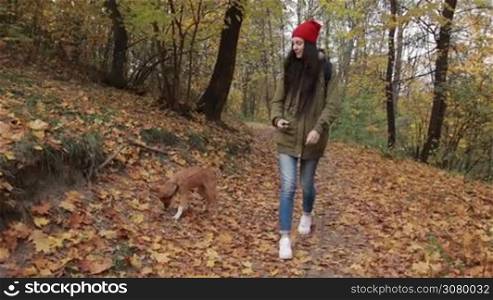 Beautiful long brown hair woman in red hat and parka enjoying a walk with her cute doggy in the forest in autumn. Cheerful hipster girl and her puppy spending leisure on the fresh air in the autumn woods. Steadicam stabilized shot. Slow motion.