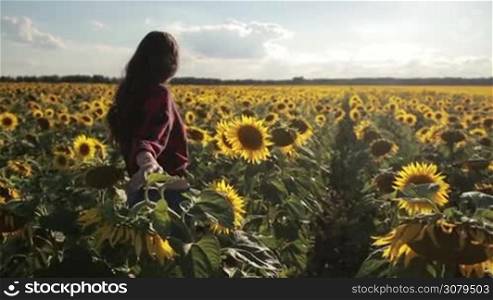 Beautiful long brown hair woman walking away in blooming sunflower field with amazing landscape on background. Back view. Joyful girl in stylish clothes relaxing in sunflower field on sunny summer day. Slow motion. Stabilized shot.