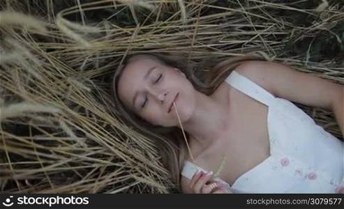Beautiful long haired blond female with amazing blue eyes lying on golden ripe wheat field. Top view. Portrait of dreamy woman with spike of wheat in her mouth relaxing on cereal field as she spends leisure in countryside in summer. Slo mo.