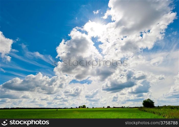 beautiful lush field and cumulus clouds