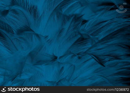 Beautiful macro dark blue feather pattern texture background