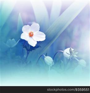 Beautiful Macro Photo.Anemone Flowers.Border Art Design. Close up Photography.Conceptual Abstract Image.Green Background.Fantasy Floral Art.Creative Wallpaper.Beautiful Nature Background.Spring White Flower.Copy Space.Wedding Invitation.Aroma,perfume.
