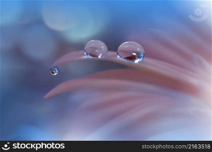 Beautiful Macro Photo.Colorful Flowers.Border Art Design.Magic Light.Close up Photography.Conceptual Abstract Image.Pink and Blue Background.Fantasy Floral Art.Creative Wallpaper.Beautiful Nature Background.Amazing Spring Flower.Water Drop.Copy Space.