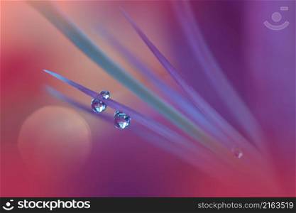 Beautiful Macro Photo.Colorful Flowers.Border Art Design.Magic Light.Close up Photography.Conceptual Abstract Image.Violet and Red Background.Fantasy Art.Creative Wallpaper.Beautiful Nature Background.Amazing Spring Flower.Water Drop.Copy Space.