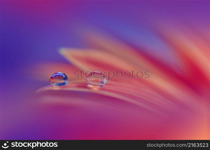 Beautiful Macro Photo.Colorful Flowers.Border Art Design.Magic Light.Close up Photography.Conceptual Abstract Image.Violet and Blue Background.Fantasy Art.Creative Wallpaper.Beautiful Nature Background.Amazing Spring Flower.Water Drop.Copy Space.