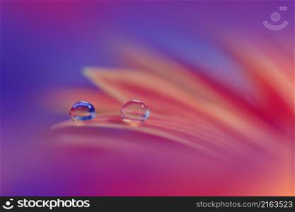 Beautiful Macro Photo.Colorful Flowers.Border Art Design.Magic Light.Close up Photography.Conceptual Abstract Image.Violet and Blue Background.Fantasy Art.Creative Wallpaper.Beautiful Nature Background.Amazing Spring Flower.Water Drop.Copy Space.