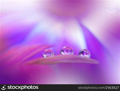 Beautiful Macro Photo.Colorful Flowers.Border Art Design.Magic Light.Close up Photography.Conceptual Abstract Image.Violet and Pink Background.Fantasy Art.Creative Wallpaper.Beautiful Nature Background.Amazing Spring Flower.Water Drop.Copy Space.