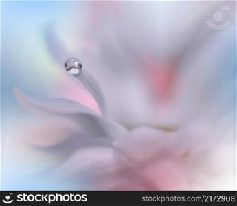 Beautiful Macro Photo.Colorful Flowers.Border Art Design.Magic Light.Close up Photography.Conceptual Abstract Image.Pink and Blue Background.Fantasy Floral Art.Creative Wallpaper.Beautiful Nature Background.Amazing Spring Flower.Water Drop.Copy Space.