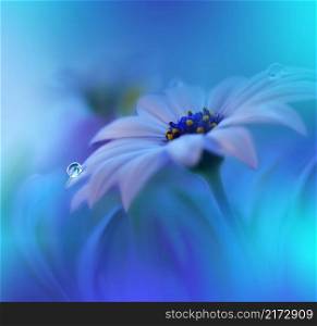 Beautiful Macro Photo.Colorful Flowers.Border Art Design.Magic Light.Close up Photography.Conceptual Abstract Image.White and Blue Background.Fantasy Floral Art.Creative Wallpaper.Beautiful Nature Background.Amazing Spring Flower.Water Drop.Copy Space.