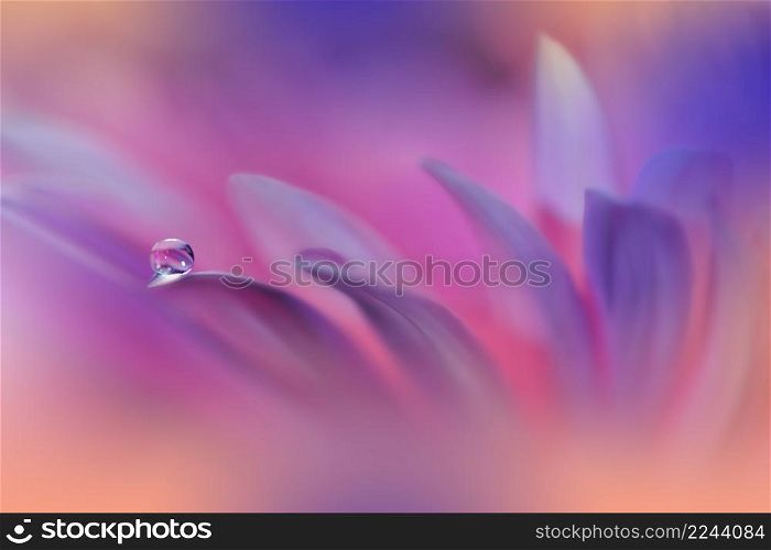 Beautiful Macro Photo.Colorful Flowers.Border Art Design.Magic Light.Close up Photography.Conceptual Abstract Image.Pink and Violet Background.Fantasy Floral Art.Creative Wallpaper.Beautiful Nature Background.Amazing Spring Flower.Water Drop.Copy Space.