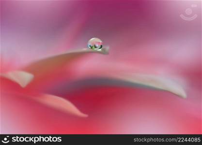 Beautiful Macro Photo.Colorful Flowers.Border Art Design.Magic Light.Close up Photography.Conceptual Abstract Image.Pink and Violet Background.Fantasy Floral Art.Creative Wallpaper.Beautiful Nature Background.Amazing Spring Flower.Water Drop.Copy Space.
