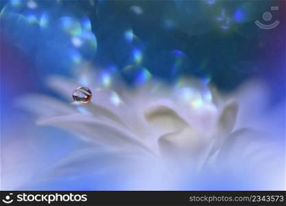 Beautiful Macro Photo.Colorful Flowers.Border Art Design.Magic Light.Close up Photography.Conceptual Abstract Image.Blue and White Background.Fantasy Floral Art.Creative Wallpaper.Beautiful Nature Background.Amazing Spring Flower.Water Drop.Copy Space.