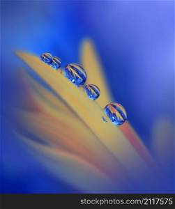 Beautiful Macro Photo.Dream Flowers.Border Art Design.Magic Light.Close up Photography.Conceptual Abstract Image.Blue and Orange Background.Fantasy Floral Art.Creative Wallpaper.Beautiful Nature Background.Amazing Spring Flower.Water Drop.Copy Space.