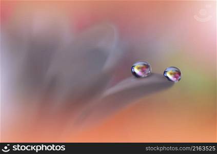 Beautiful Macro Photo.Dream Flowers.Border Art Design.Magic Light.Close up Photography.Conceptual Abstract Image.Green and Orange Background.Fantasy Floral Art.Creative Wallpaper.Beautiful Nature Background.Amazing Spring Flower.Water Drop.Copy Space.