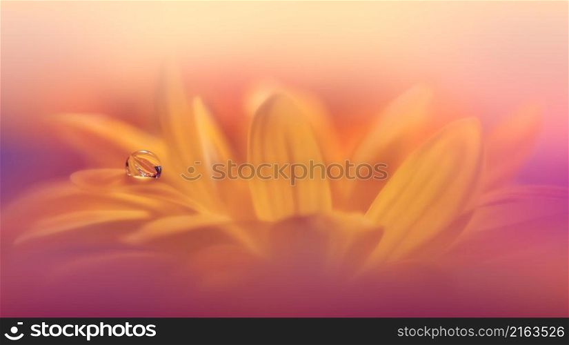Beautiful Macro Photo.Dream Flowers.Border Art Design.Magic Light.Close up Photography.Conceptual Abstract Image.Yellow and Orange Background.Fantasy Floral Art.Creative Wallpaper.Beautiful Nature Background.Amazing Spring Flower.Water Drop.Copy Space.