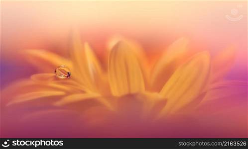 Beautiful Macro Photo.Dream Flowers.Border Art Design.Magic Light.Close up Photography.Conceptual Abstract Image.Yellow and Orange Background.Fantasy Floral Art.Creative Wallpaper.Beautiful Nature Background.Amazing Spring Flower.Water Drop.Copy Space.