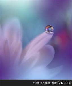 Beautiful Macro Photo.Dream Flowers.Border Art Design.Magic Light.Close up Photography.Conceptual Abstract Image.Blue and Violet Background.Fantasy Floral Art.Creative Wallpaper.Beautiful Nature Background.Amazing Spring Flower.Water Drop.Copy Space.