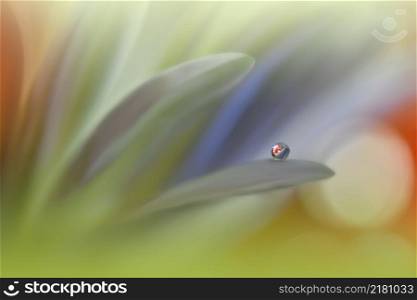 Beautiful Macro Photo.Dream Flowers.Border Art Design.Magic Light.Close up Photography.Conceptual Abstract Image.Green and Orange Background.Fantasy Floral Art.Creative Wallpaper.Beautiful Nature Background.Amazing Spring Flower.Water Drop.Copy Space.