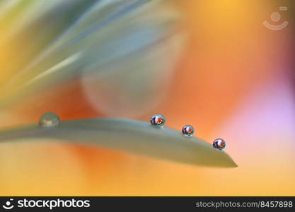 Beautiful Macro Photo.Dream Flowers.Border Art Design.Magic Light.Close up Photography.Conceptual Abstract Image.Yellow and Orange Background.Fantasy Floral Art.Creative Wallpaper.Beautiful Nature Background.Amazing Spring Flower.Water Drop.Copy Space.