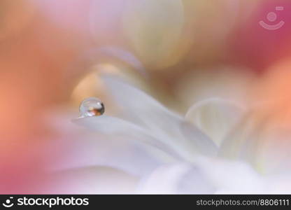 Beautiful Macro Photo.Dream Flowers.Border Art Design.Magic Light.Close up Photography.Conceptual Abstract Image.Violet Background.Fantasy Floral Art.Creative Wallpaper.Beautiful Nature Background.Amazing Spring Flower.Water Drop.Copy Space.