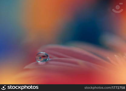 Beautiful macro shot of magic flowers.Border art design. Magic light.Extreme close up macro photography.Conceptual abstract image.Orange and Blue Background.Fantasy Art.Creative Wallpaper.Beautiful Nature Background.Amazing Spring Flowers.Water drop.